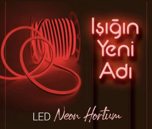 12 VOLT NEON LED