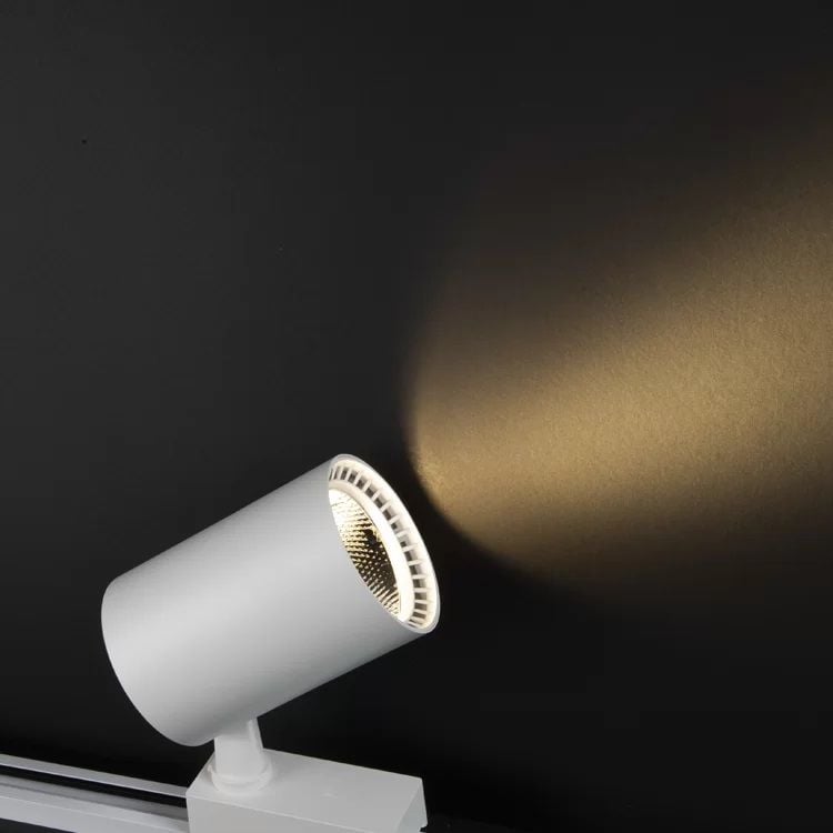 Noas 30W Beyaz Kasa Ray Spot Gün Işığı - Paris