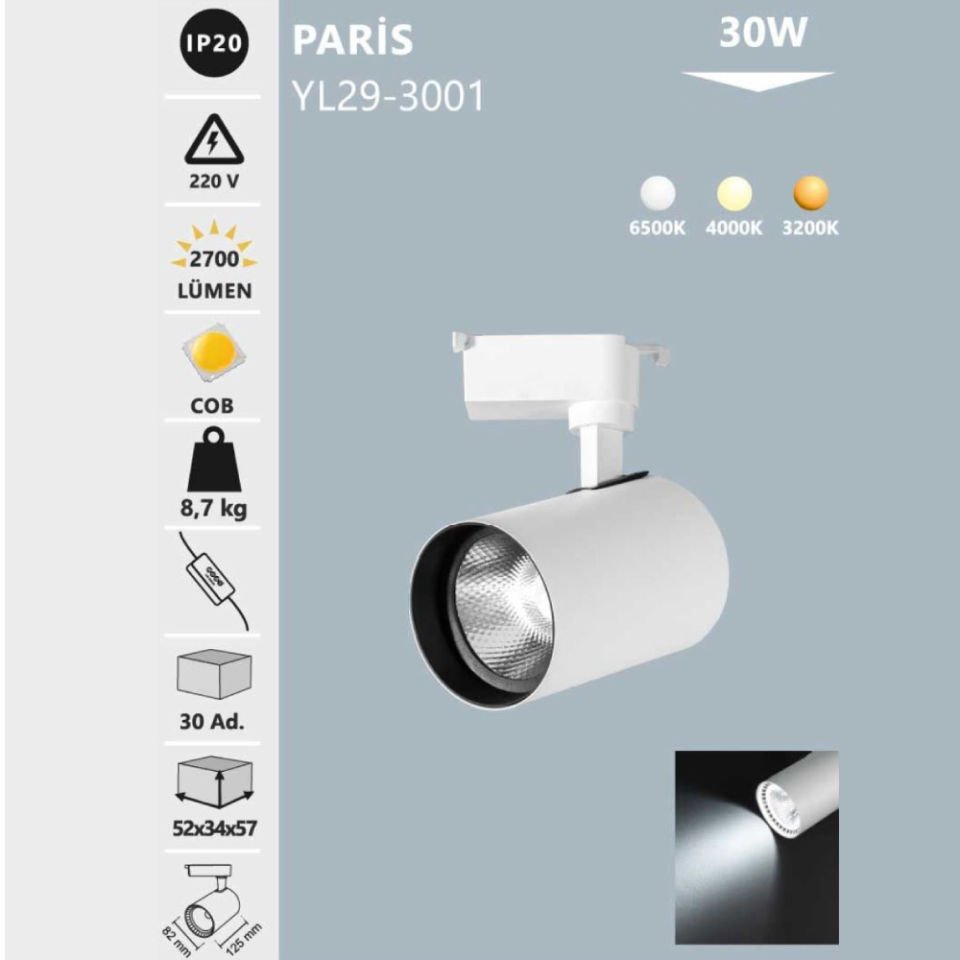 Noas 30W Beyaz Kasa Ray Spot Gün Işığı - Paris