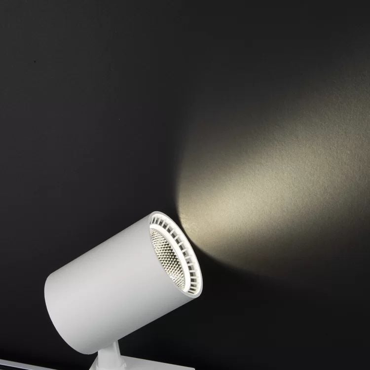 Noas 30W Beyaz Kasa Ray Spot 4000K - Paris