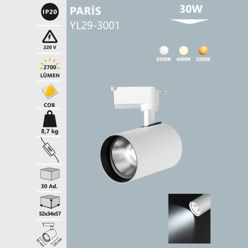 Noas 30W Beyaz Kasa Ray Spot 4000K - Paris