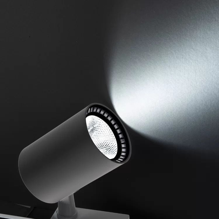 Noas 30W Siyah Kasa Ray Spot Beyaz - Paris