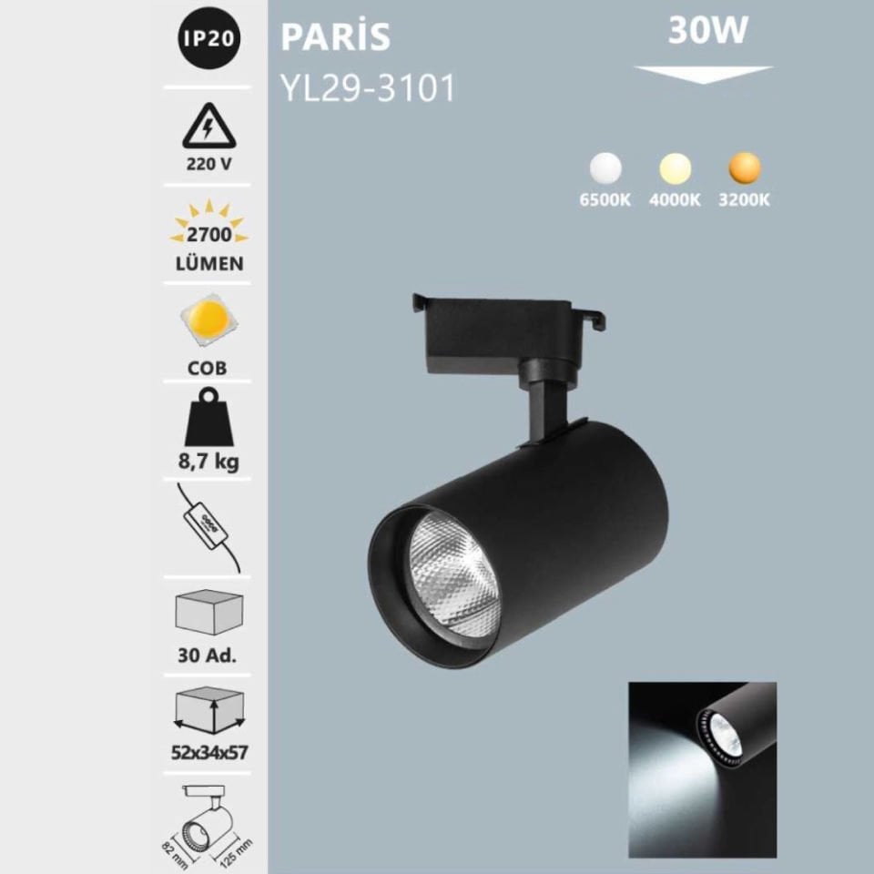 Noas 30W Siyah Kasa Ray Spot Beyaz - Paris