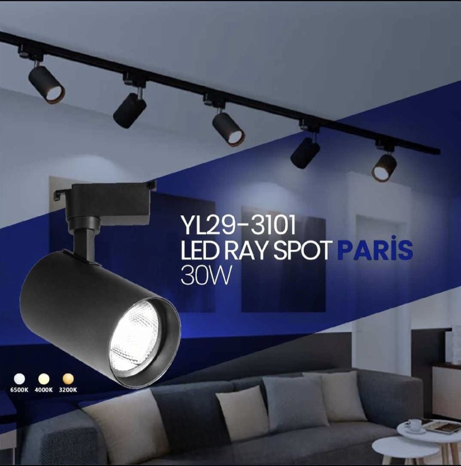 Noas 30W Siyah Kasa Ray Spot Gün Işığı - Paris