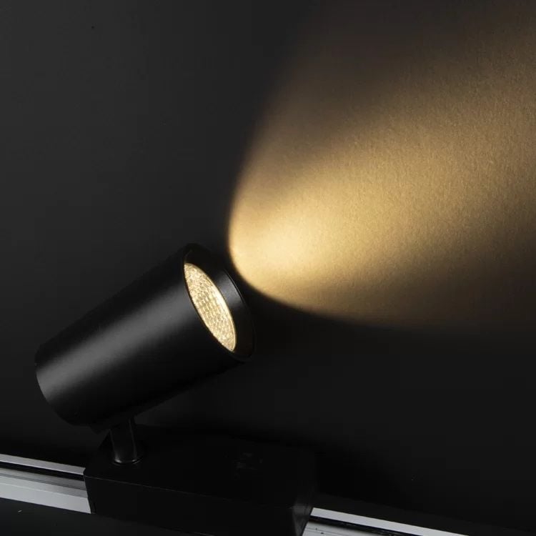 Noas 30W Siyah Kasa Ray Spot Gün Işığı - Paris