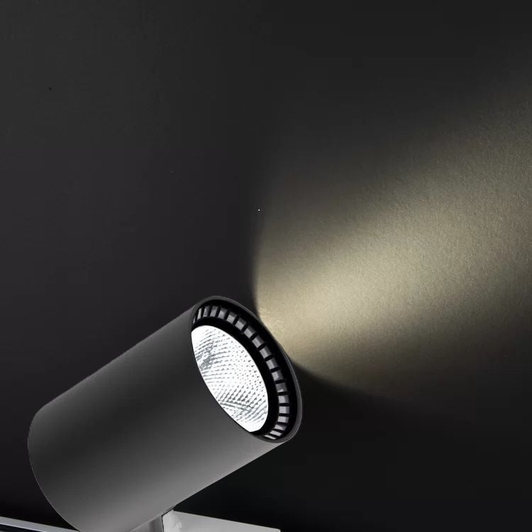 Noas 30W Siyah Kasa Ray Spot 4000K - Paris