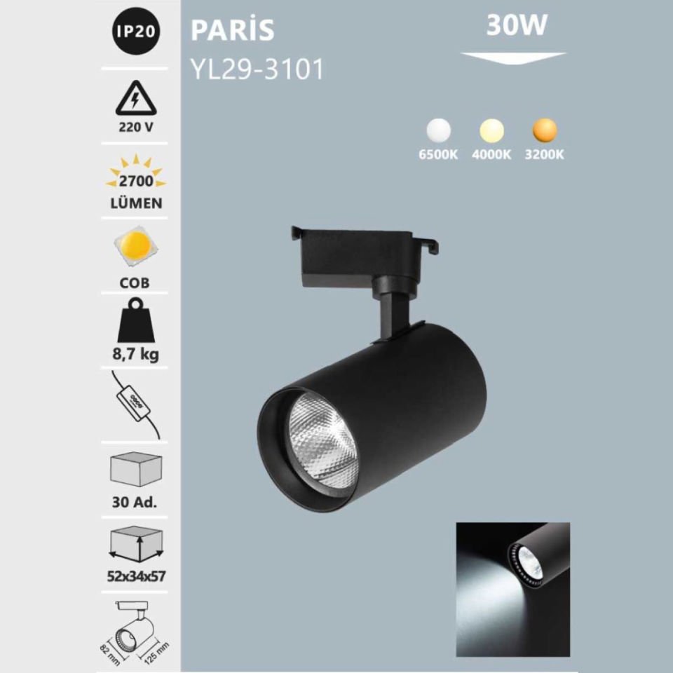 Noas 30W Siyah Kasa Ray Spot 4000K - Paris