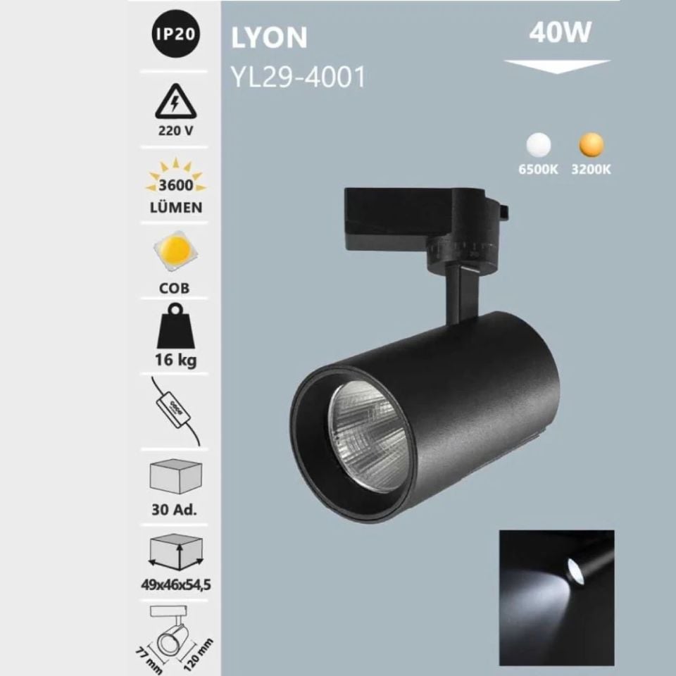 Noas 40W Siyah Kasa Ray Spot Beyaz Işık- Lyon