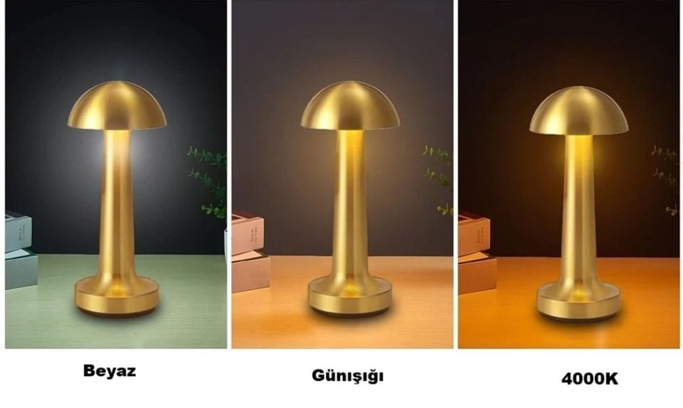 Cata Lizbon Gold Dokunmatik Şarjlı 3 Renk Masa Lambası