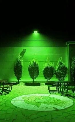 FOREST 50 W YEŞİL PROJEKTÖR