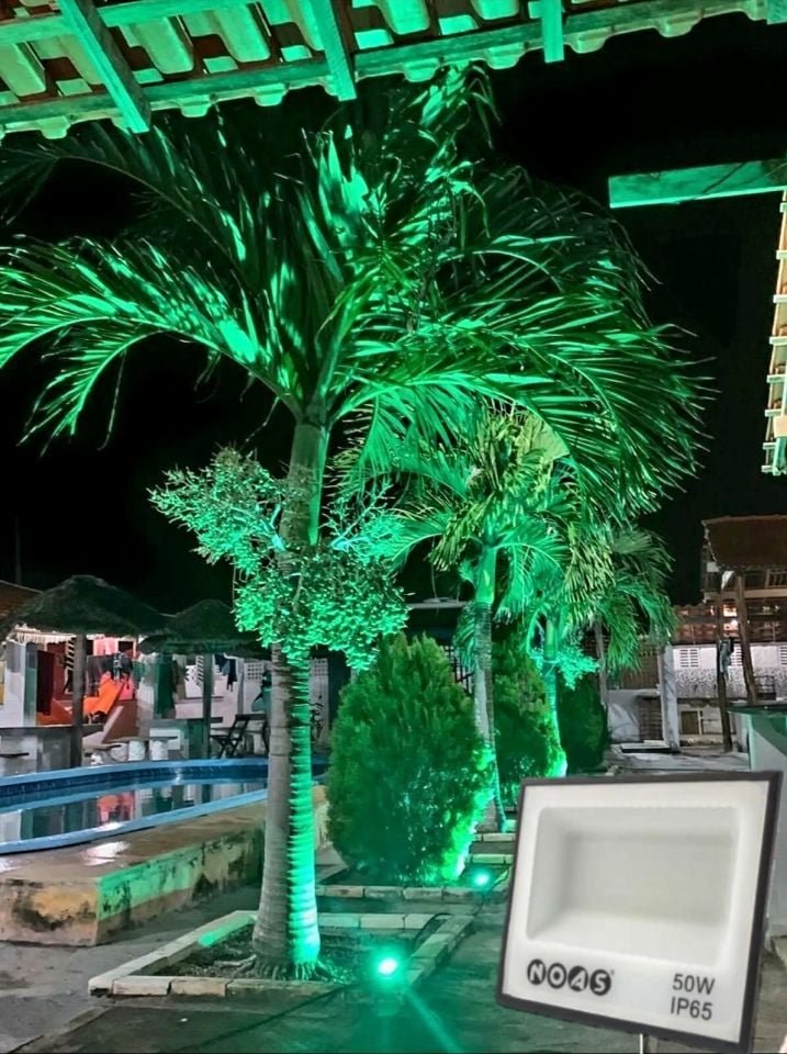 NOAS 50W Smd Led Projektör(Yeşil)