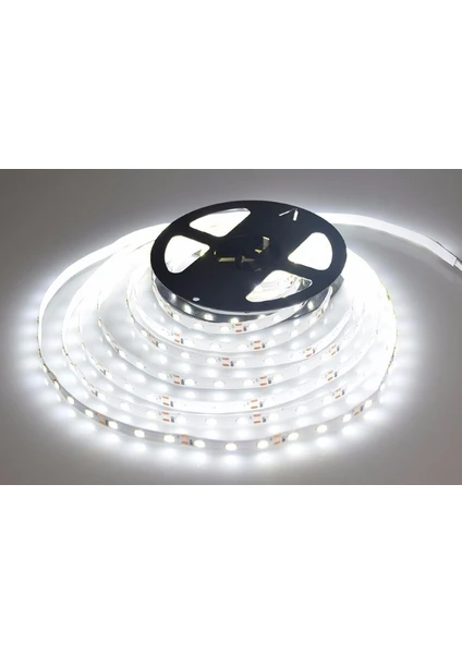 Noas 220V Trafosuz Şerit Led Beyaz Işık (240 Led)