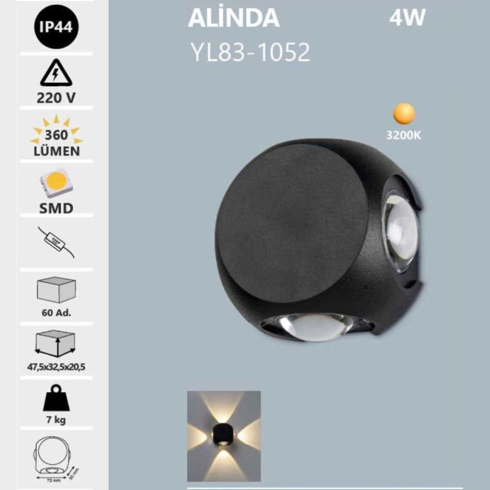 Noas 4W Dış Mekan Aplik Günışığı- Alinda