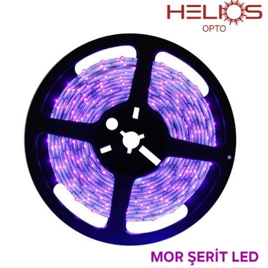 HELIOS 12V İÇ MEKAN ŞERİT LED MOR (5 METRE)
