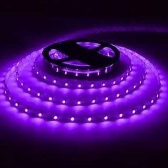 HELIOS 12 VOLT 4040 İÇ MEKAN COB ŞERİT LED MOR