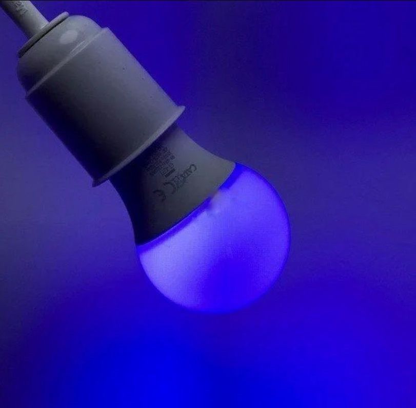 Cata 6W Led Ampul Mavi Renk E27 Duy