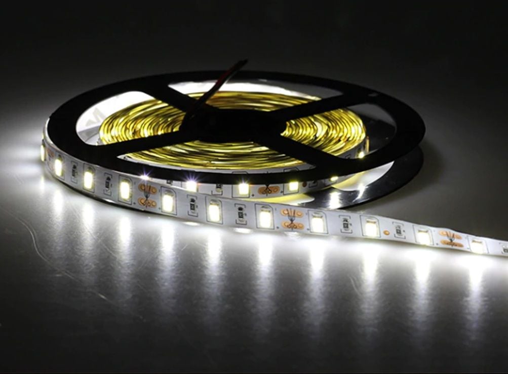 Cata Şerit Led 5630 Gold Şerit led Beyaz Işık