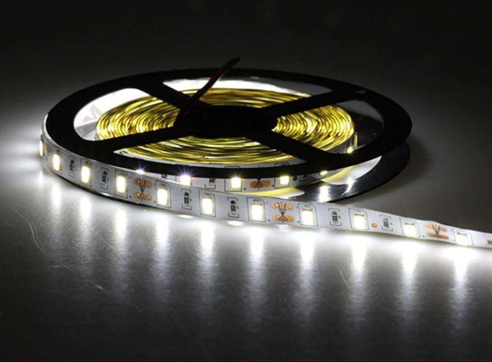 Cata Şerit Led 5630 Gold Şerit led Beyaz Işık