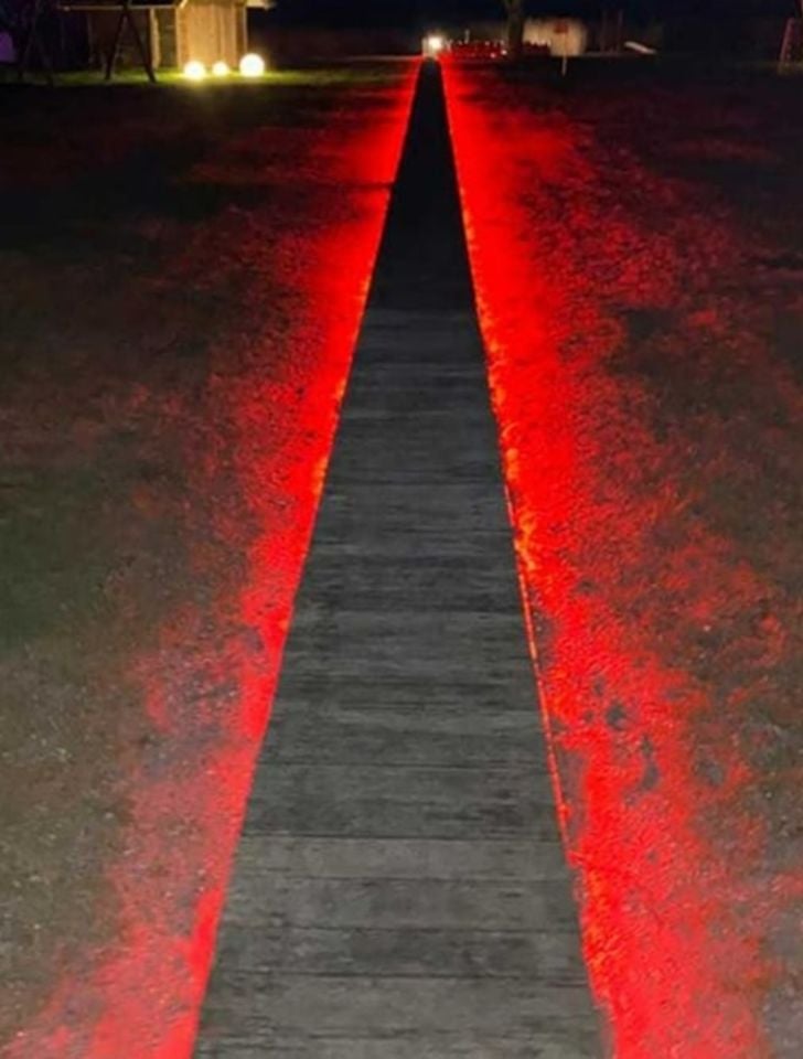 Cata 220 Volt Dış Mekan Hortum Led Kırmızı ( 100 METRE )