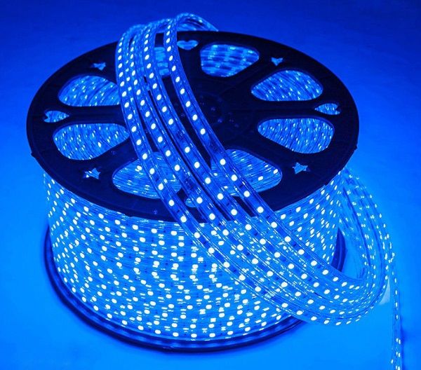 Cata 220 Volt Dış Mekan Hortum Led Mavi ( 100 M )