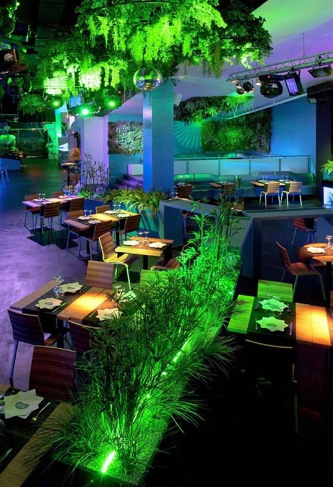 Cata 220 Volt Dış Mekan Hortum Led Yeşil ( 100 M )